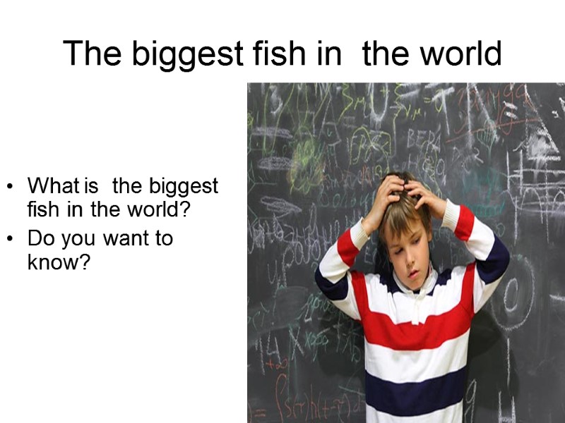 The biggest fish in  the world What is  the biggest fish in